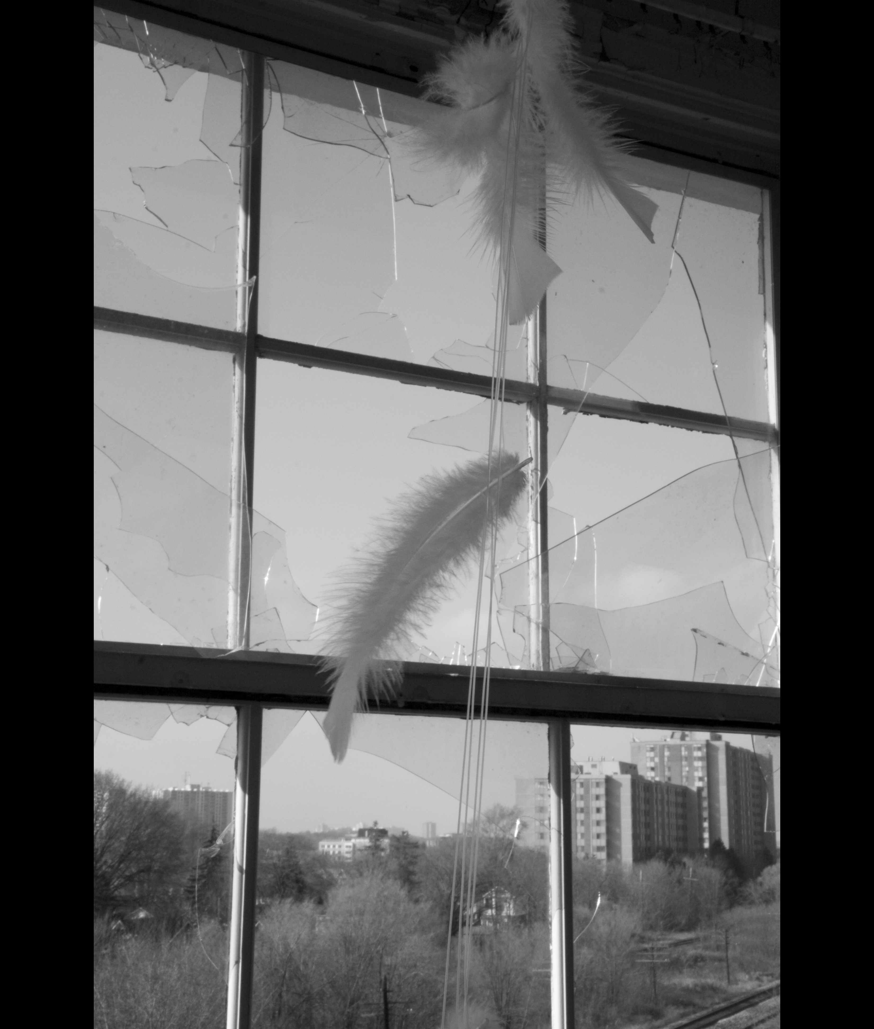FEATHER - walking through the empty corridors, littered with debris...turning corners and finding empty rooms or locked doors or broken shelving...It was like walking through a dream. You don't know where you're going in a dream or what's going to happen next.